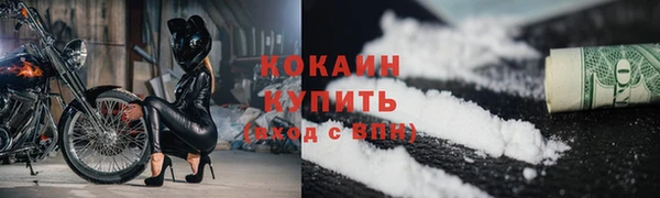 ешки Бородино