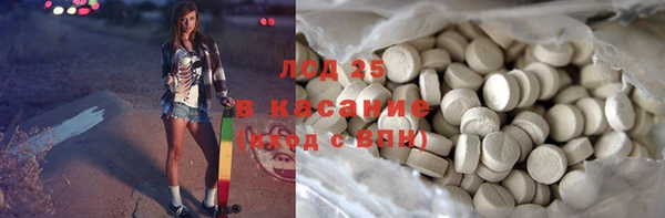 ешки Бородино