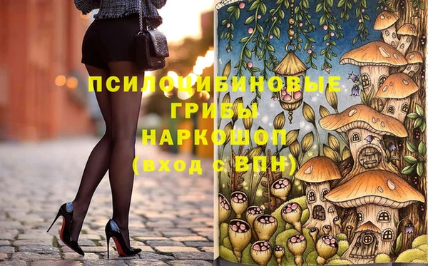 ешки Бородино