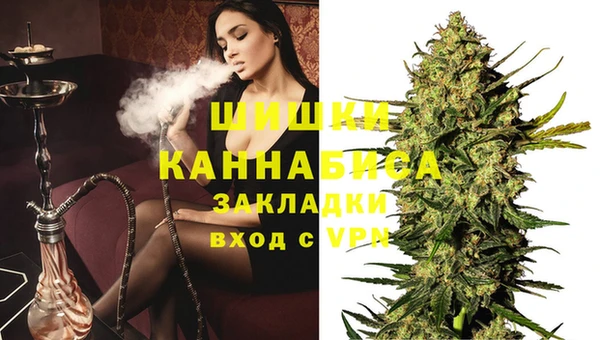 ешки Бородино