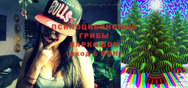 ешки Бородино