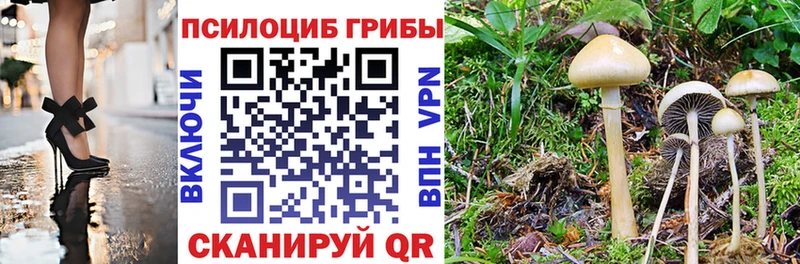 купить закладку  Шумиха  Галлюциногенные грибы ЛСД 